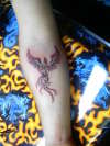 shaded phoenix free hand tattoo