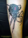 Spider by Stephen Knight, Perfection Dermagraphics tattoo