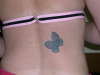 Original Butterfly tattoo