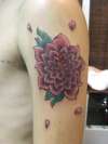 chrysanthemum  by me tattoo