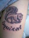 Squirrel I did on my own bicep. tattoo