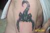 First Scorpion i did tattoo