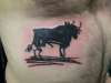 bull by picasso tattoo
