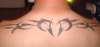 tribal tattoo