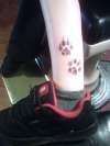 leopard print paw prints tattoo