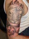 Feline added more tattoo