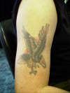 Eagle cover up - before tattoo
