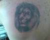 Lion on my back tattoo