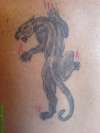 Panther tattoo