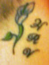 Lily tattoo