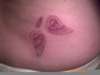 My First Tattoo... tattoo