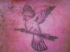 Dove on Chest tattoo