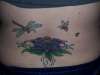 My back tattoo, a cover-up