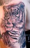 Tiger on back tattoo