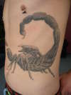 Big f@*kin scorpion tattoo