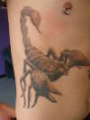 Another big f'n Scorpion tattoo
