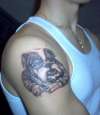 Bulldog tattoo