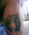 Tiger tattoo i got about 7 months ago, my favorite one.