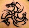 chest dragons tattoo