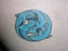 Dolphin Zen tattoo