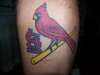Stl Cardinals tattoo