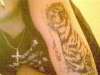 My Tiger Piece tattoo