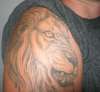 Lion - King Of Beasts tattoo
