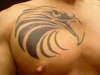 Tribal Eagle tattoo