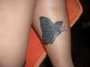 Butterfly tattoo