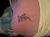 my ghekko! tattoo
