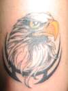 bird tattoo