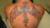 dragon tattoo