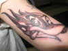the bird tattoo