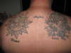 whtchin my back tattoo
