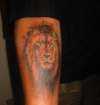 lion tattoo