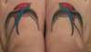 Feet swallows tattoo