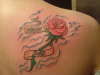 rose tattoo