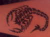 scorpion tattoo