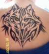tribal wolf tattoo