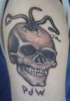 Skull and snakes tattoo