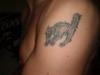 cat tattoo