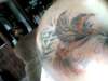 phatty tattoo