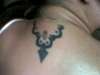 phatty tattoo
