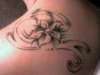 phatty tattoo