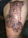 Cheetah and Cubs tattoo