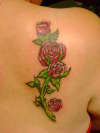Roses tattoo
