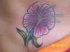 redbeard tattoo