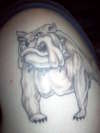 bulldog tattoo