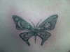 Butterfly, tattoo