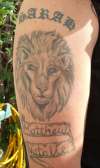 LION tattoo